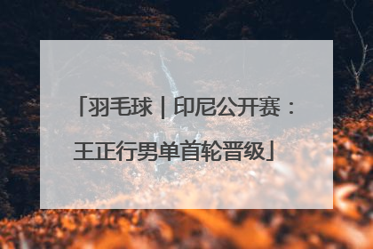 羽毛球｜印尼公开赛：王正行男单首轮晋级