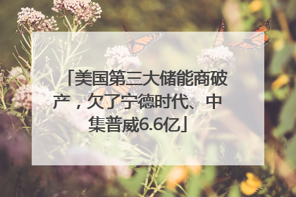 美国第三大储能商破产，欠了宁德时代、中集普威6.6亿