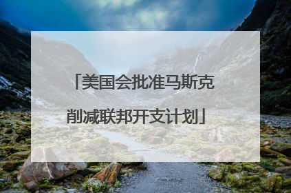 美国会批准马斯克削减联邦开支计划