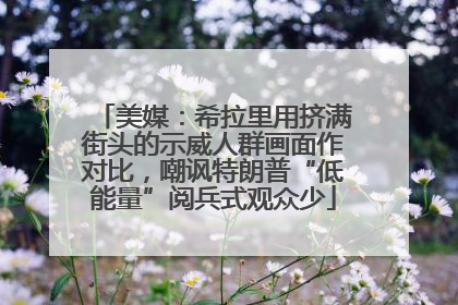 美媒：希拉里用挤满街头的示威人群画面作对比，嘲讽特朗普“低能量”阅兵式观众少