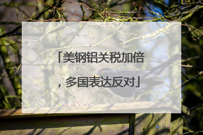 美钢铝关税加倍，多国表达反对
