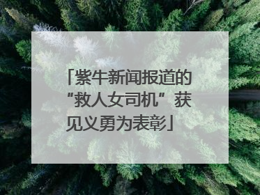 紫牛新闻报道的“救人女司机”获见义勇为表彰