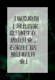 纵览原创｜河北首家盒马鲜生在唐山开业，石家庄门店预计8月开业