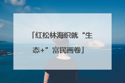 红松林海织就“生态+”富民画卷