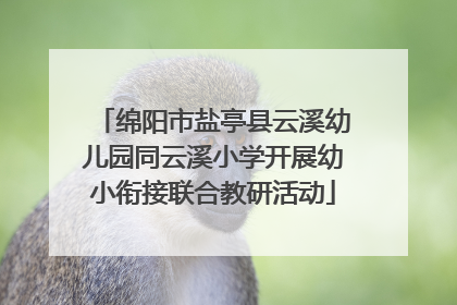 绵阳市盐亭县云溪幼儿园同云溪小学开展幼小衔接联合教研活动