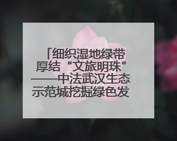 细织湿地绿带 厚结“文旅明珠”——中法武汉生态示范城挖掘绿色发展新动能
