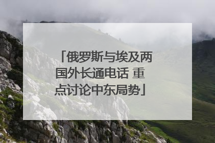 俄罗斯与埃及两国外长通电话 重点讨论中东局势