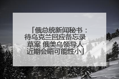 俄总统新闻秘书：待乌克兰回应备忘录草案 俄美乌领导人近期会晤可能性小
