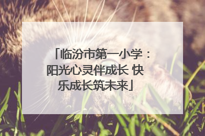 临汾市第一小学：阳光心灵伴成长 快乐成长筑未来