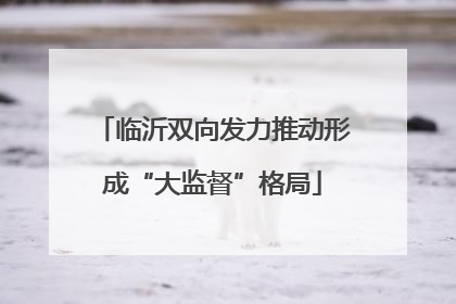 临沂双向发力推动形成“大监督”格局