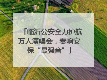 临沂公安全力护航万人演唱会，奏响安保“最强音”