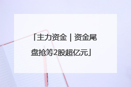 主力资金｜资金尾盘抢筹2股超亿元