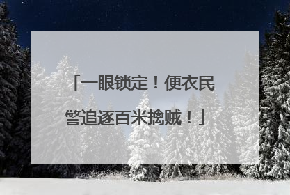一眼锁定！便衣民警追逐百米擒贼！