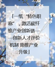 一纸“特色职称”，激活碳纤维产业创新链——创新人才评价机制 助推产业升级