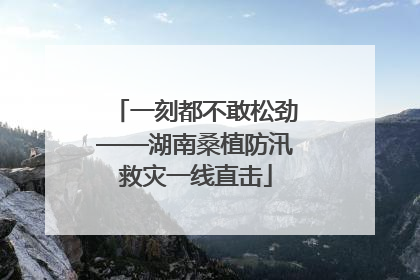 一刻都不敢松劲——湖南桑植防汛救灾一线直击