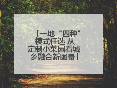 一地“四种” 模式任选 从定制小菜园看城乡融合新图景