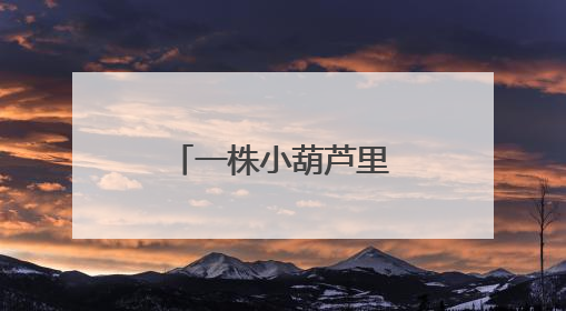 一株小葫芦里的育人智慧