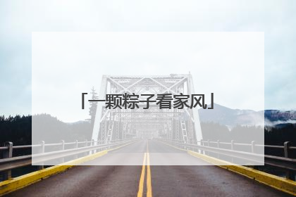 一颗粽子看家风