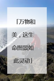 万物和美，这生命图景如此灵动