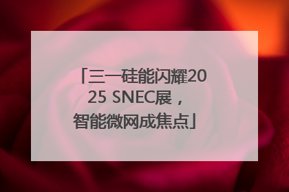 三一硅能闪耀2025 SNEC展，智能微网成焦点