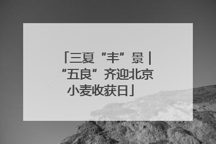 三夏“丰”景｜“五良”齐迎北京小麦收获日