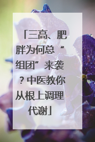 三高、肥胖为何总“组团”来袭？中医教你从根上调理代谢