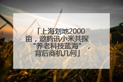 上海划地2000亩，邀腾讯小米共探“养老科技蓝海”，背后商机几何