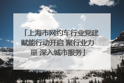 上海市网约车行业党建赋能行动开启 聚行业力量 深入城市服务
