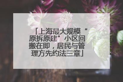 上海最大规模“原拆原建”小区回搬在即，居民与管理方先约法三章