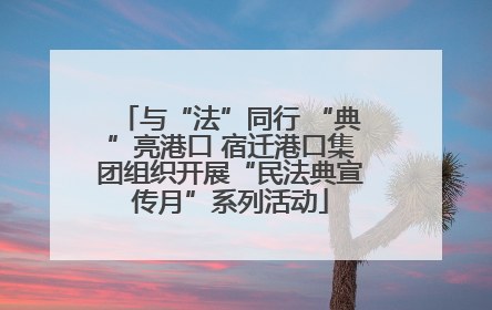 与“法”同行 “典”亮港口 宿迁港口集团组织开展“民法典宣传月”系列活动