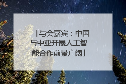 与会嘉宾：中国与中亚开展人工智能合作前景广阔