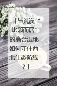 与荒漠“比邻而居”的高台湿地如何守住西北生态防线？