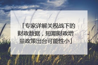 专家详解关税战下的财政数据，短期财政增量政策出台可能性小
