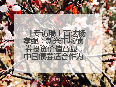 专访瑞士百达杨孝强：新兴市场债券投资价值凸显，中国债券适合作为“稳定器”