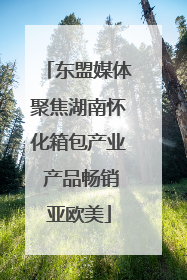 东盟媒体聚焦湖南怀化箱包产业 产品畅销亚欧美