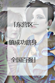 东营区一镇成功跻身全国百强