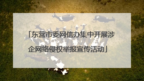 东营市委网信办集中开展涉企网络侵权举报宣传活动
