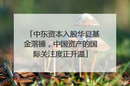 中东资本入股华夏基金落锤，中国资产的国际关注度正升温