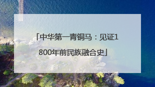 中华第一青铜马：见证1800年前民族融合史