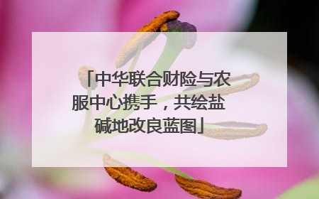 中华联合财险与农服中心携手，共绘盐碱地改良蓝图
