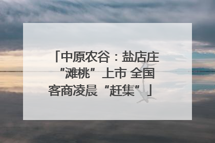 中原农谷：盐店庄“滩桃”上市 全国客商凌晨“赶集”