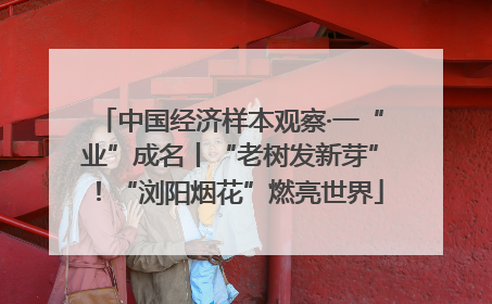 中国经济样本观察·一“业”成名丨“老树发新芽”！“浏阳烟花”燃亮世界