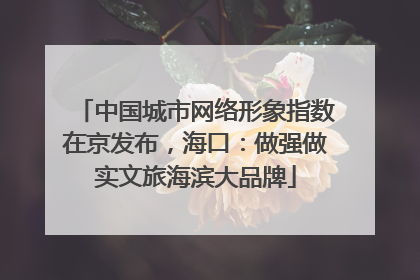 中国城市网络形象指数在京发布，海口：做强做实文旅海滨大品牌