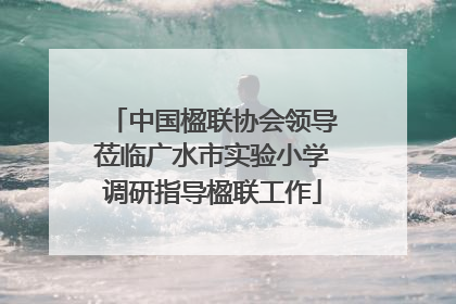 中国楹联协会领导莅临广水市实验小学调研指导楹联工作
