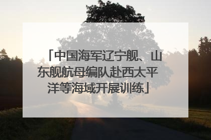 中国海军辽宁舰、山东舰航母编队赴西太平洋等海域开展训练