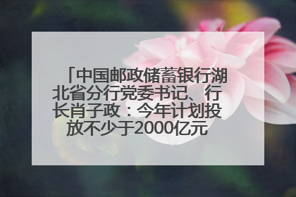中国邮政储蓄银行湖北省分行党委书记、行长肖子政：今年计划投放不少于2000亿元支持支点建设