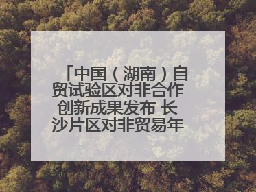 中国（湖南）自贸试验区对非合作创新成果发布 长沙片区对非贸易年均增长141%