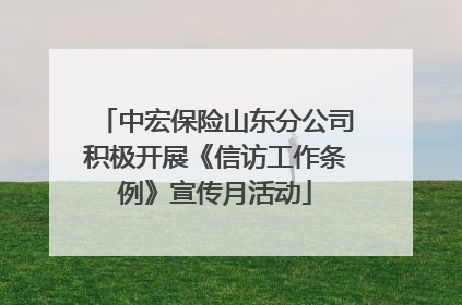 中宏保险山东分公司积极开展《信访工作条例》宣传月活动
