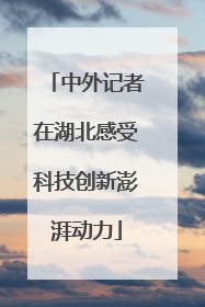 中外记者在湖北感受科技创新澎湃动力