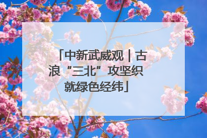中新武威观｜古浪“三北”攻坚织就绿色经纬